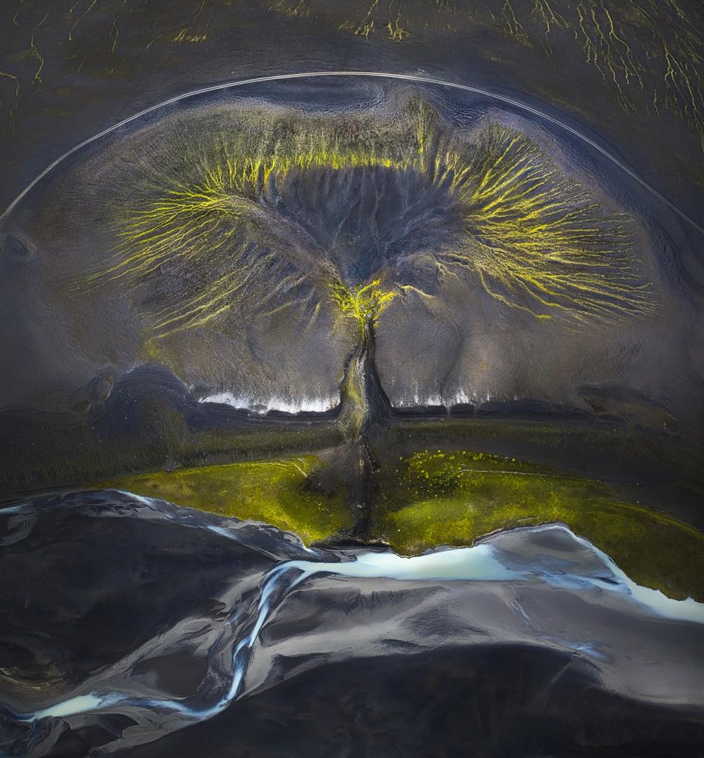 'Árvore da Vida' - Terceiro lugar - Imagem aérea feita na Islândia mostra formações e sulcos com um rio embaixo criando assim o desenho de uma árvore — Foto: Isabella Tabacchi/The Tenth International Landscape Photographer of the Year